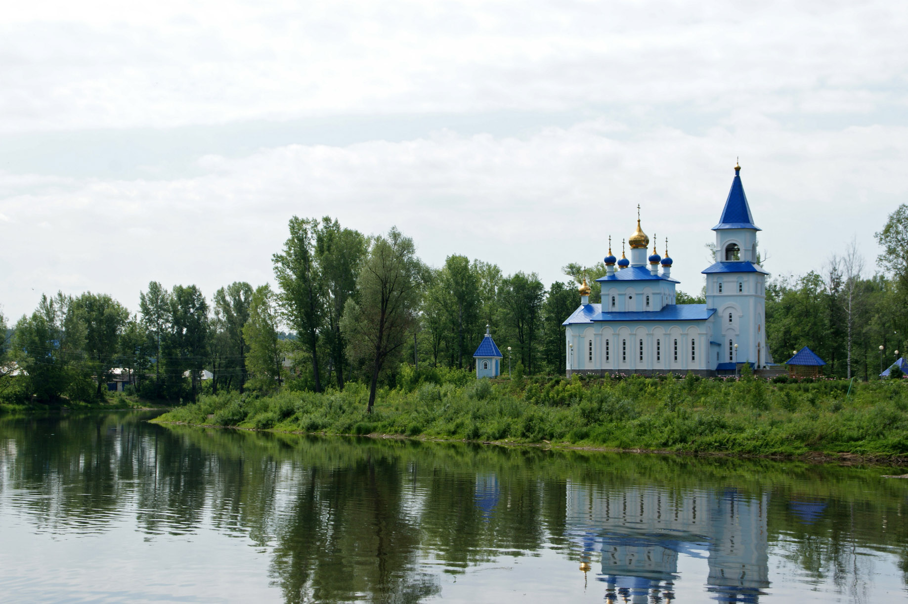 Аша (Asha)